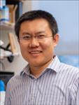 Dan Wang PhD